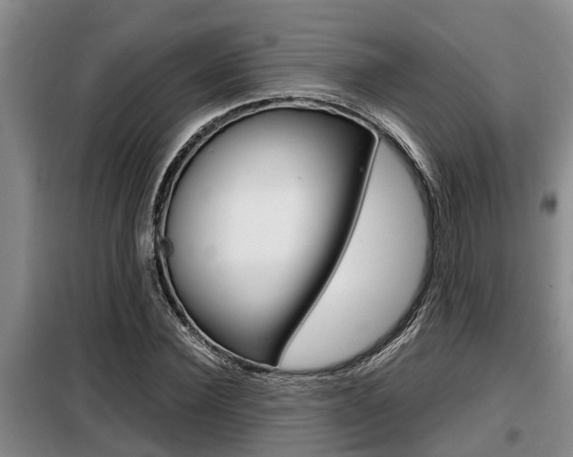 X0000099410924200805090724