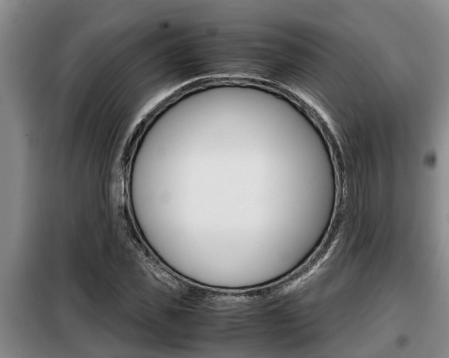 X0000099410925200805090724