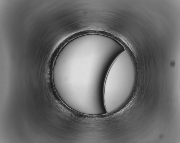 X0000099410926200805090724