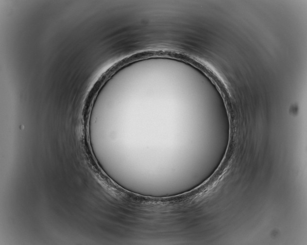 X0000099410927200805090724
