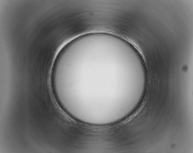 X0000099410928200805090724