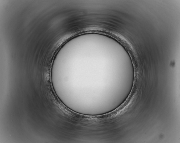 X0000099410929200805090724