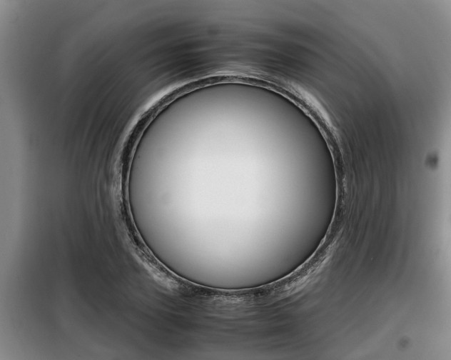 X0000099410931200805090724