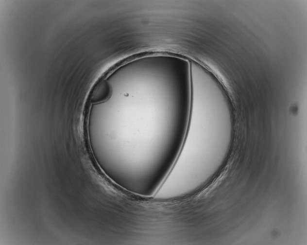 X0000099410932200805090724