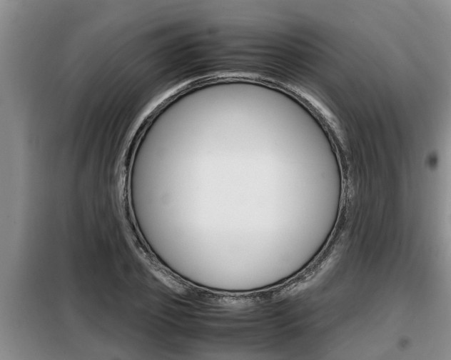 X0000099410933200805090724
