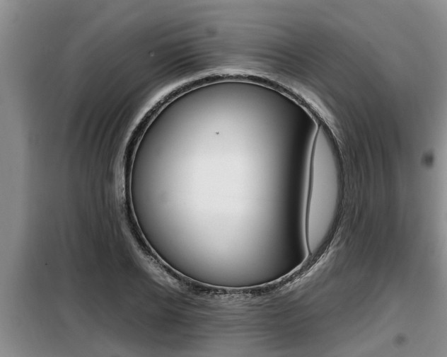 X0000099410934200805090724