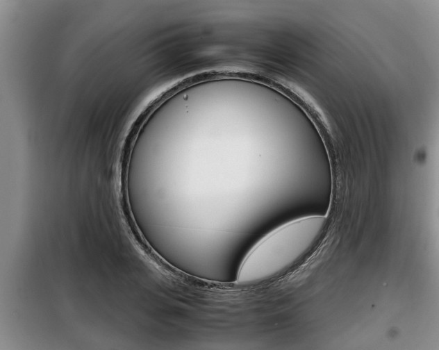 X0000099410935200805090724