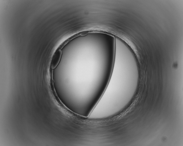 X0000099410936200805090724