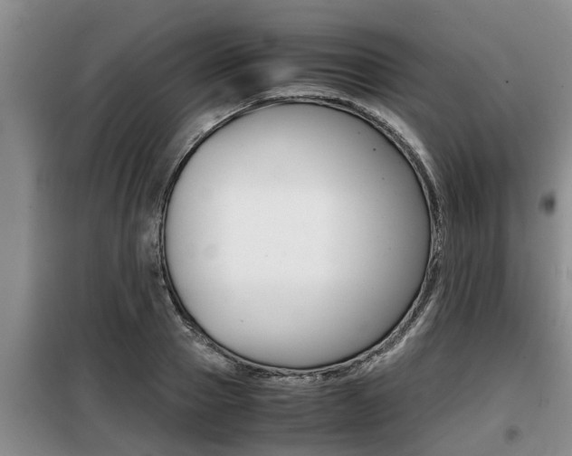 X0000099410937200805090724