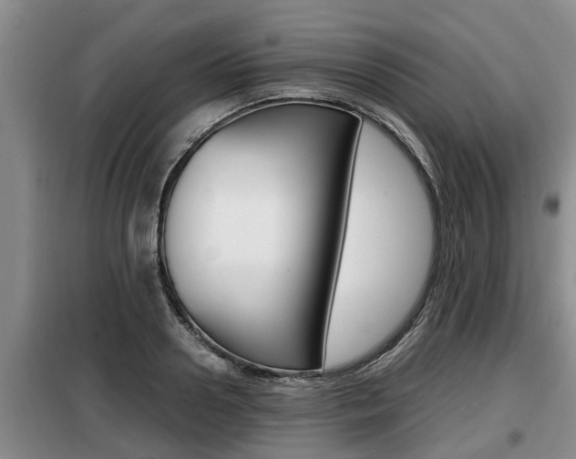 X0000099410938200805090724