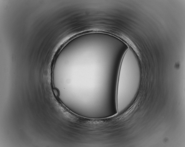 X0000099410939200805090724