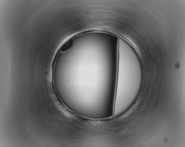 X0000099410940200805090724