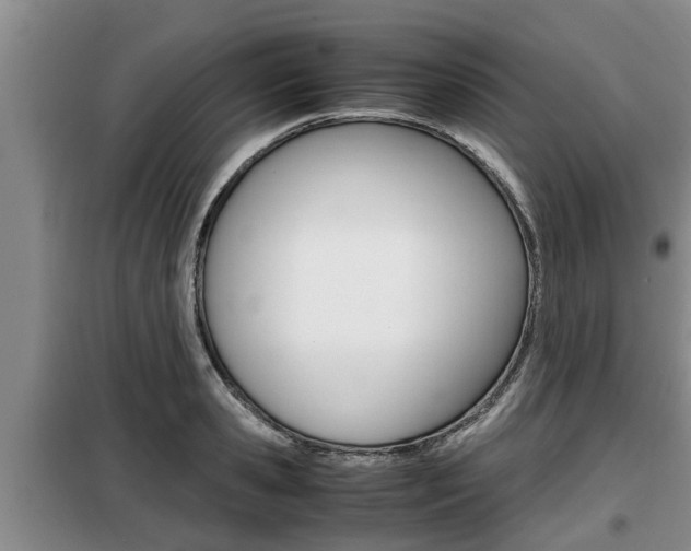 X0000099410941200805090724