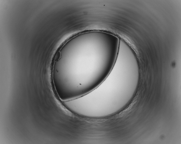 X0000099410942200805090724