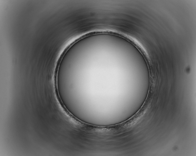 X0000099410943200805090724