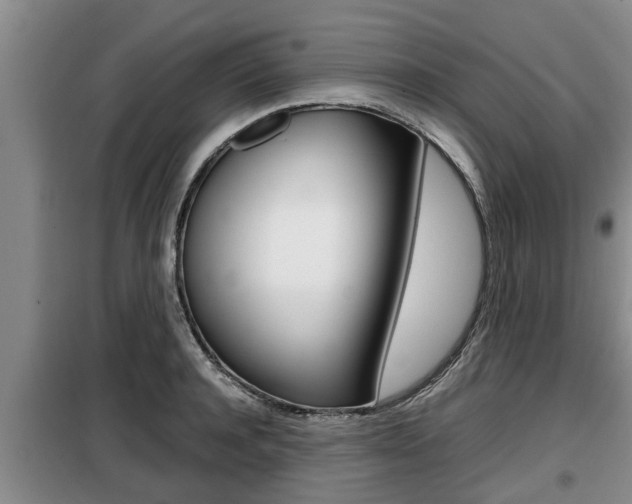 X0000099410944200805090724