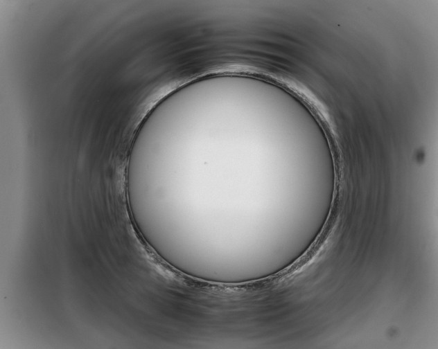 X0000099410945200805090724
