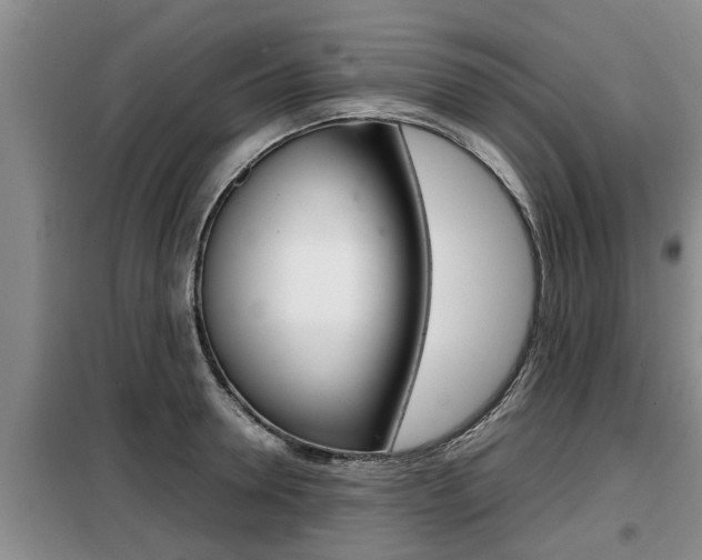 X0000099410946200805090724