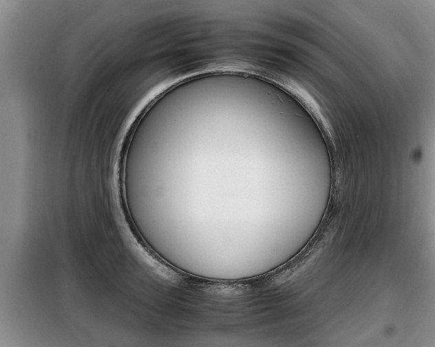 X0000099410947200805090724