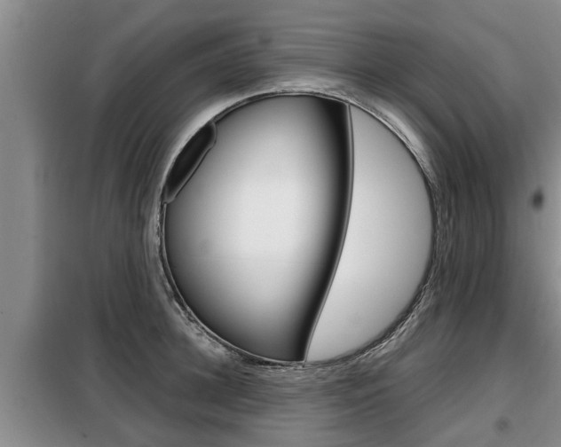 X0000099410948200805090724