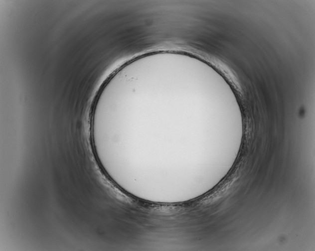 X0000099410950200805090724