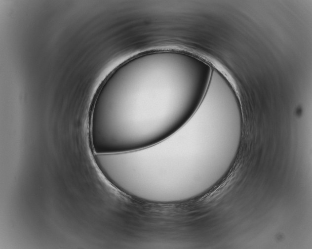 X0000099410951200805090724