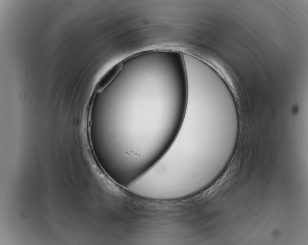 X0000099410952200805090724