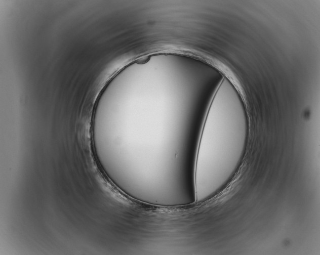 X0000099410954200805090724
