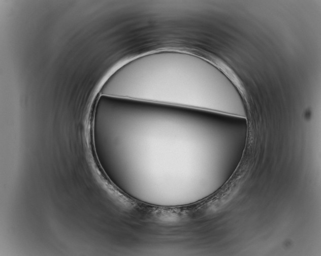 X0000099410955200805090724