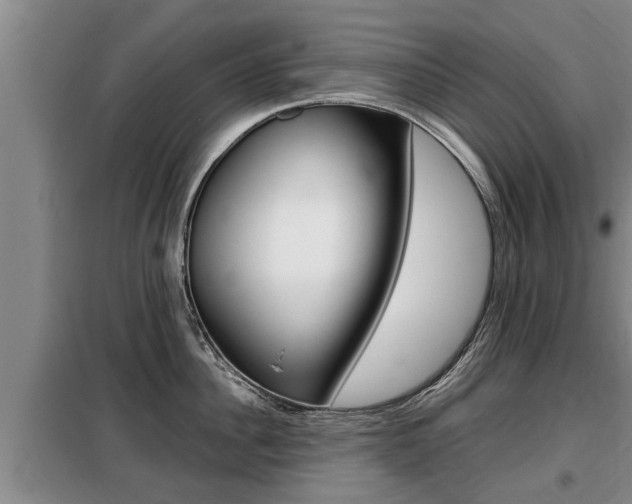 X0000099410956200805090724