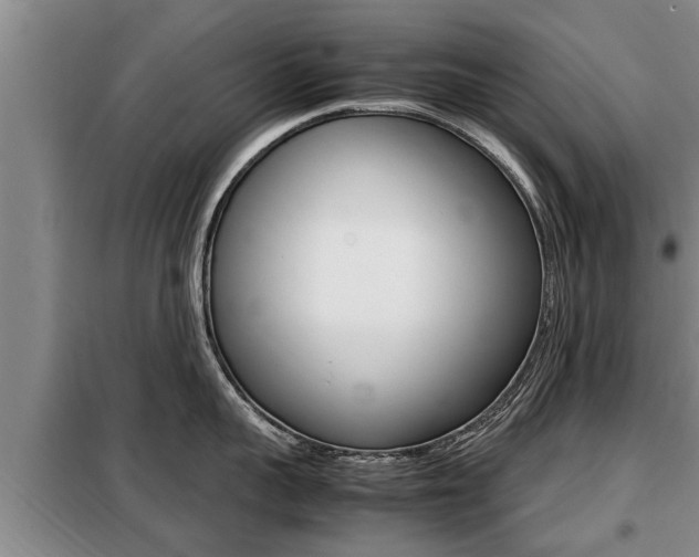 X0000099410959200805090724