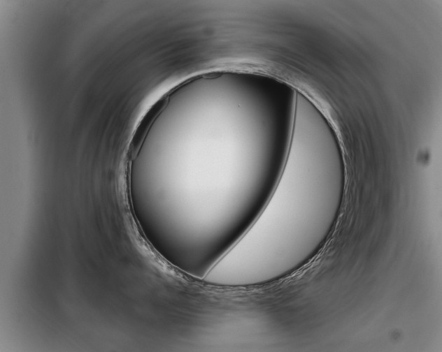 X0000099410960200805090724