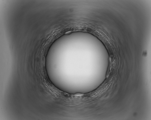 X0000099410961200805090723