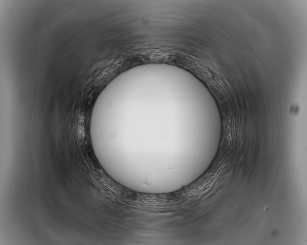X0000099410962200805090723