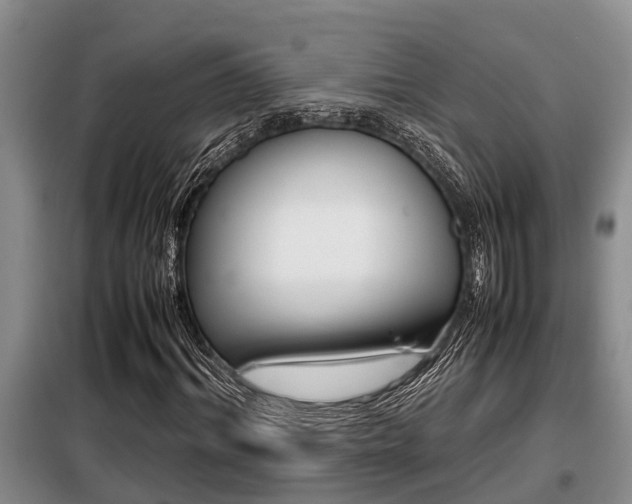 X0000099410964200805090723