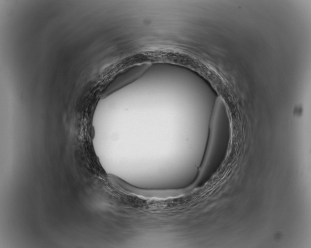 X0000099410965200805090723
