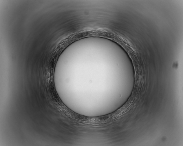 X0000099410966200805090723