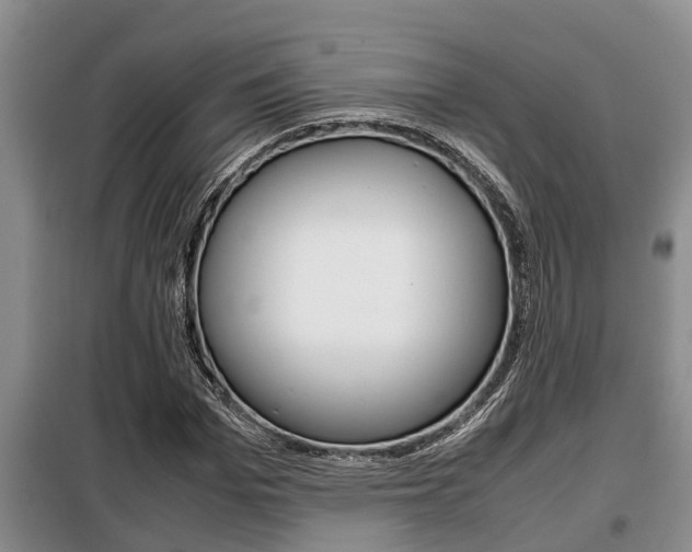 X0000099410969200805090723