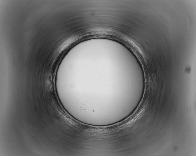 X0000099410970200805090723