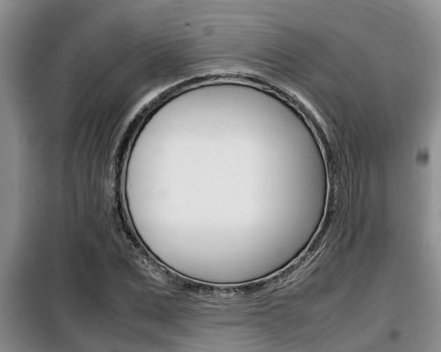 X0000099410975200805090723
