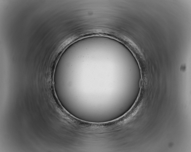X0000099410977200805090723