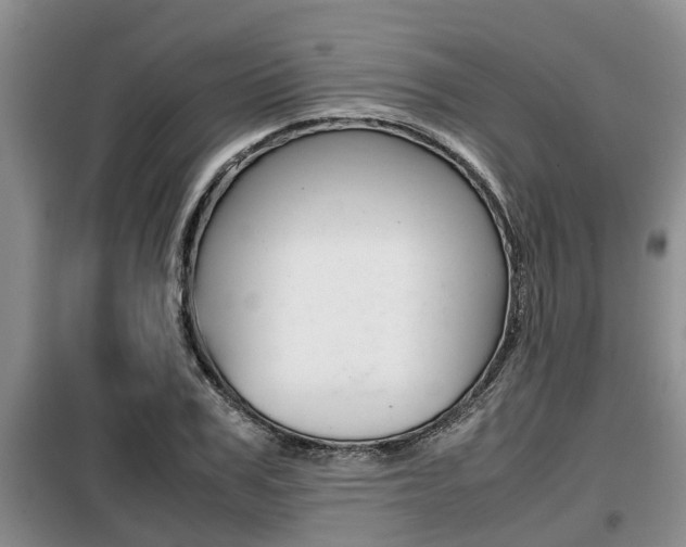 X0000099410979200805090723