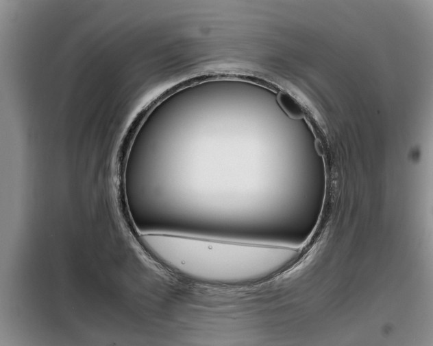 X0000099410981200805090723