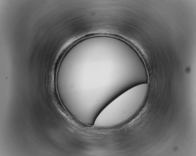 X0000099410982200805090723