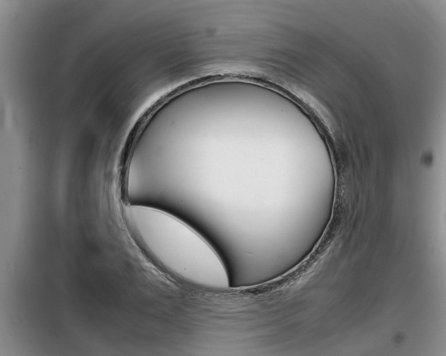 X0000099410983200805090723