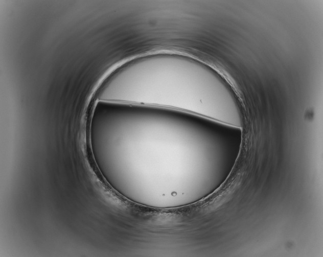 X0000099410984200805090723