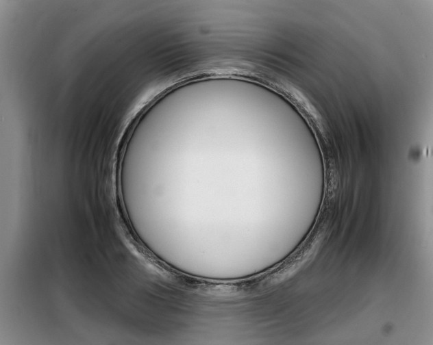 X0000099410986200805090723