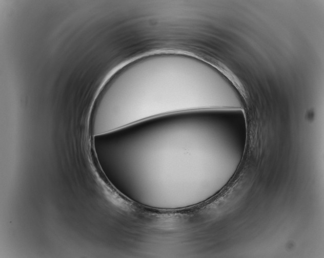 X0000099410988200805090723