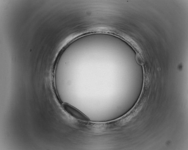 X0000099410989200805090723