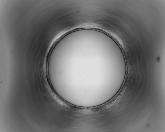 X0000099410990200805090723
